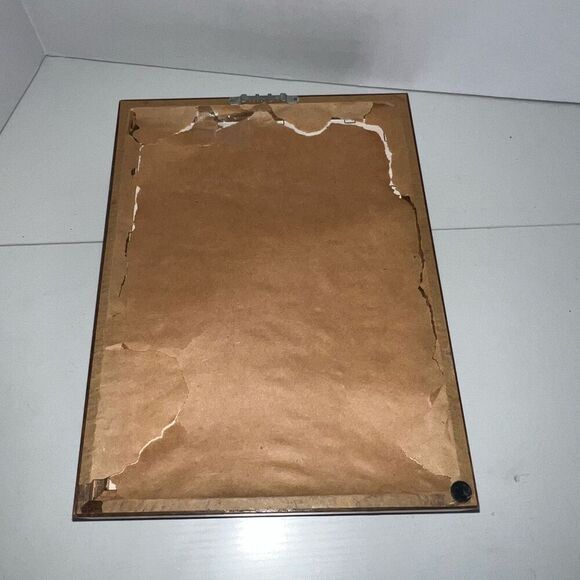 Vintage Sea Shell Framed in Oak Shadow Box Matted Glass Front Nautical Beach - Picture 8 of 8